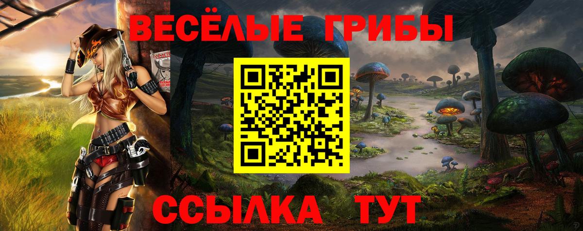 дарнет шоп  Вход с VPN  Назрань  Галлюциногенные грибы MAGIC MUSHROOMS 